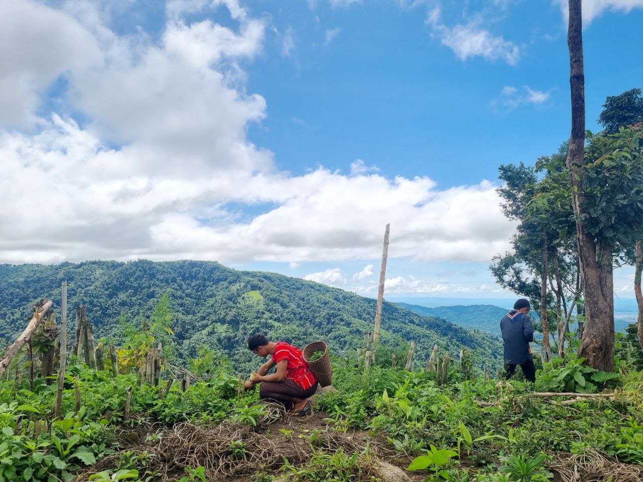 Comunidad Karen protege biodiversidad y territorios ancestrales