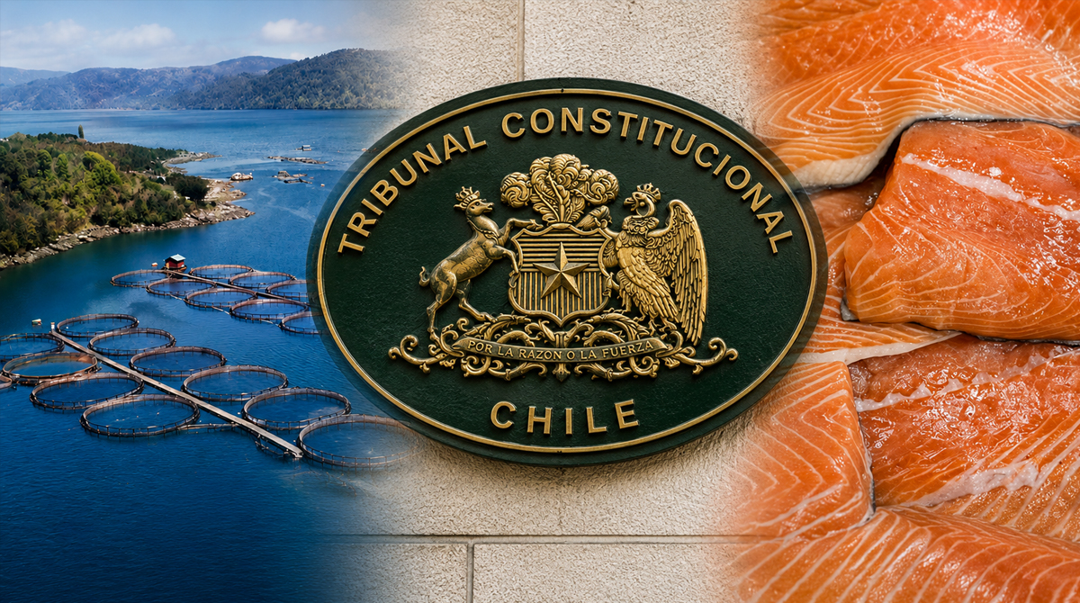 Tribunal rechaza normas que debilitaban control ambiental en relocalización salmonera