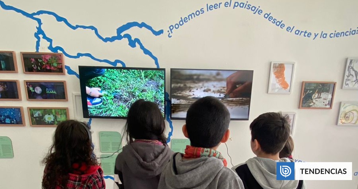 Metodología educativa une arte y territorios indígenas en La Araucanía