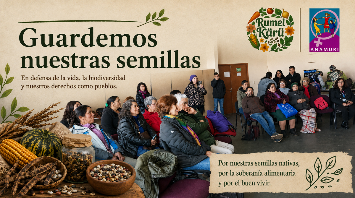 Comunidades Mapuche defienden semillas ancestrales en La Araucanía