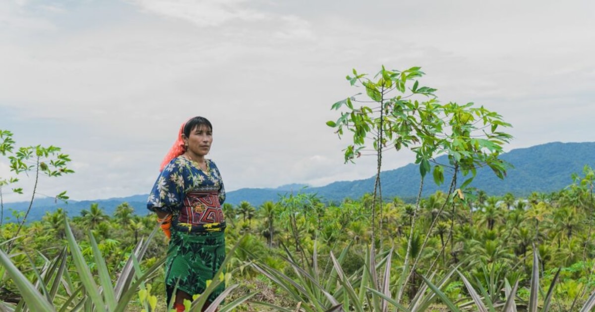 Pueblos indígenas de Mesoamérica buscan mayor autonomía económica