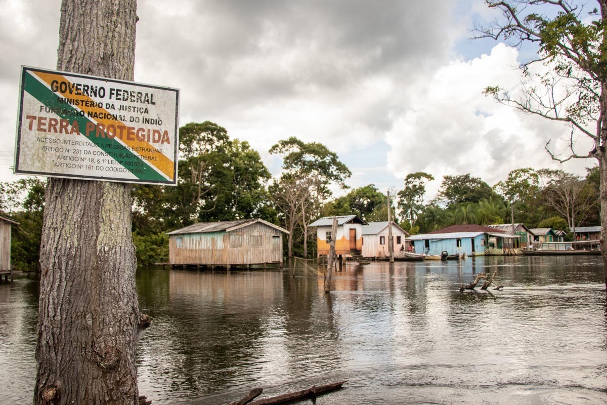 Amazonas lidera amenaza de desmatación en tierras indígenas