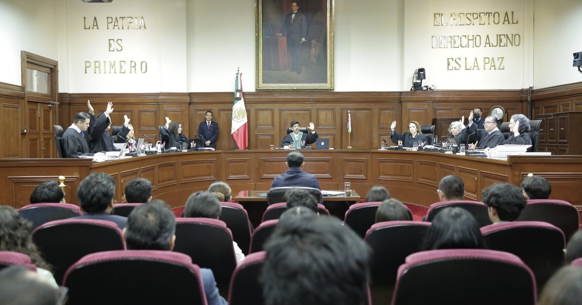 Scjn analiza derecho maya a proteger abejas meliponas