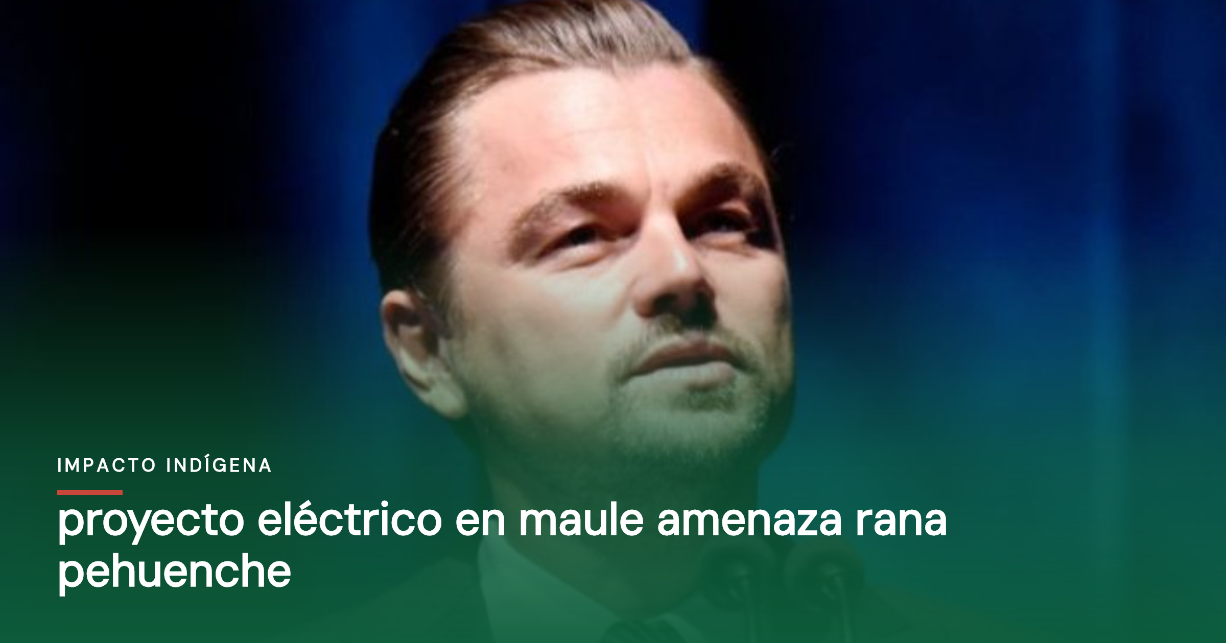 Proyecto eléctrico en Maule amenaza rana pehuenche
