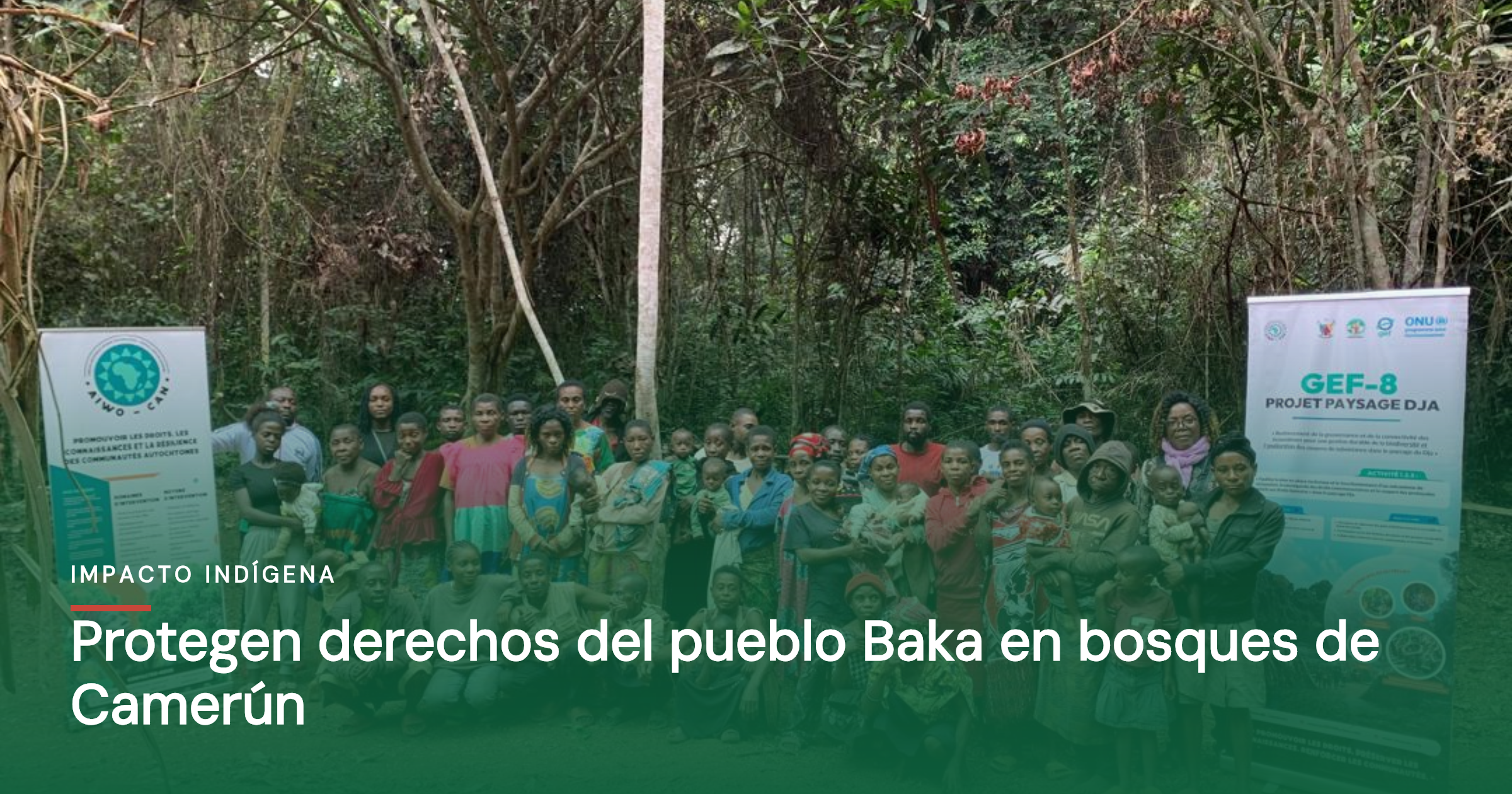 Protegen derechos del pueblo Baka en bosques de Camerún