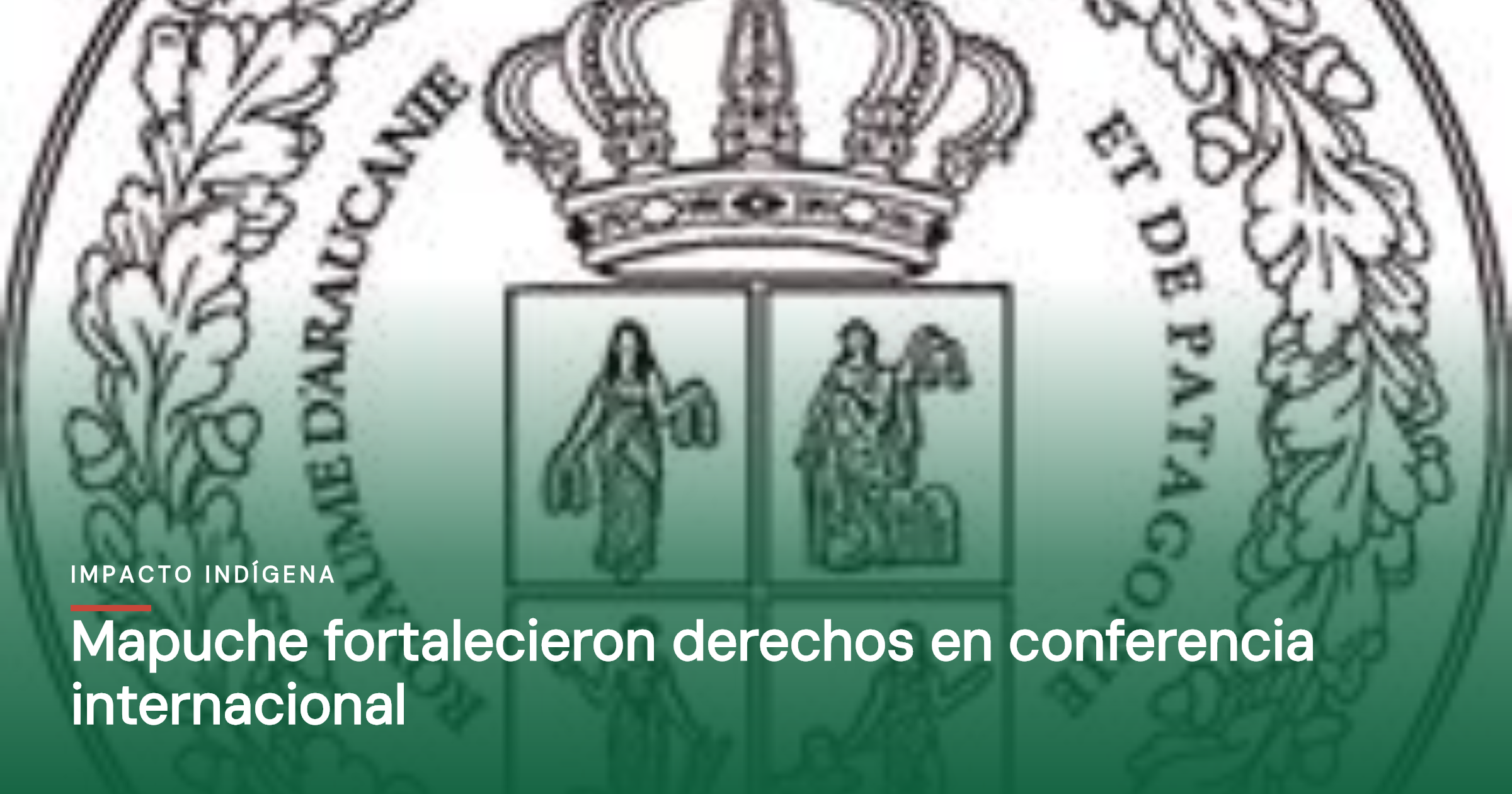 Mapuche fortalecieron derechos en conferencia internacional