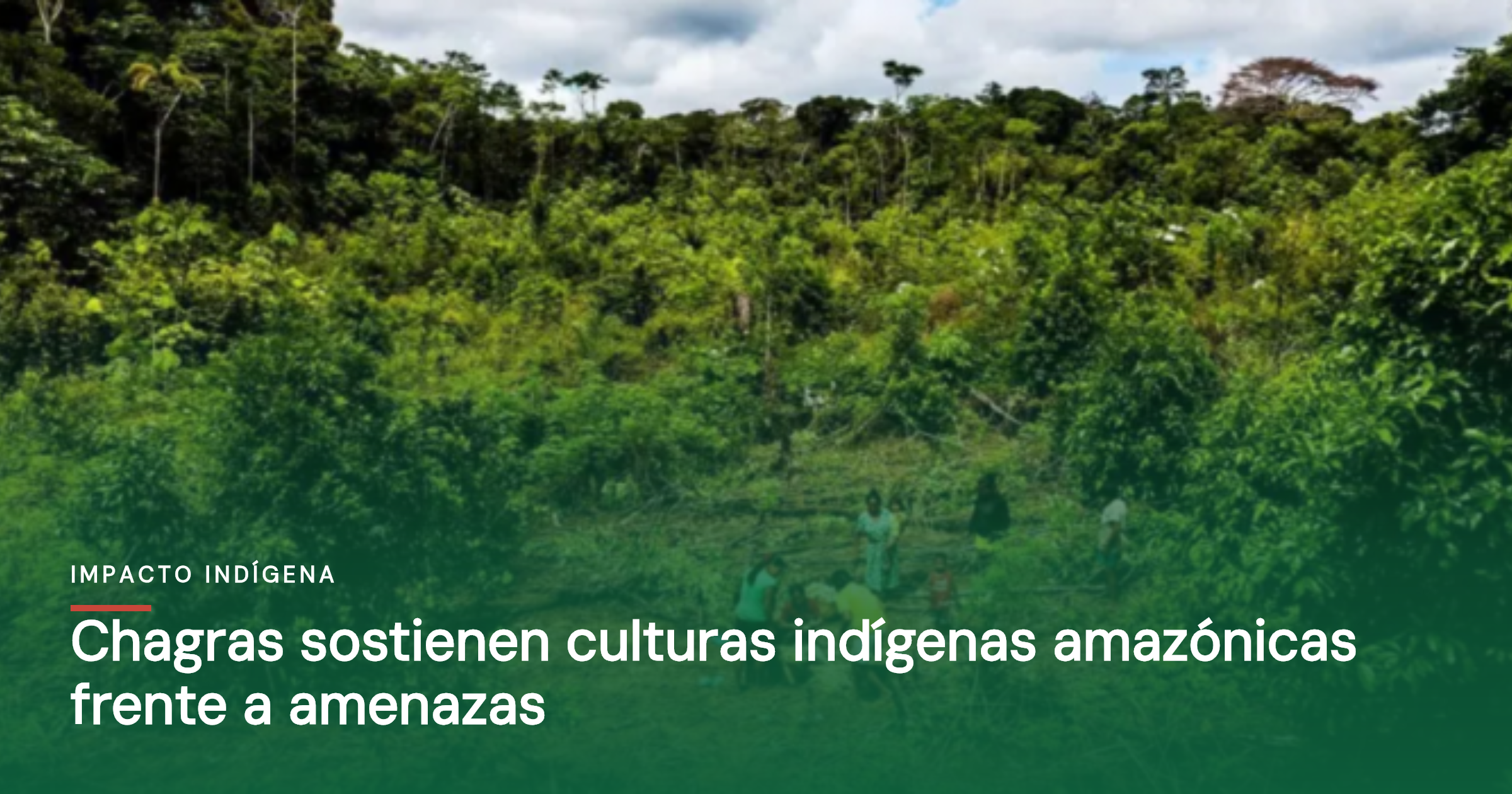 Chagras sostienen culturas indígenas amazónicas frente a amenazas