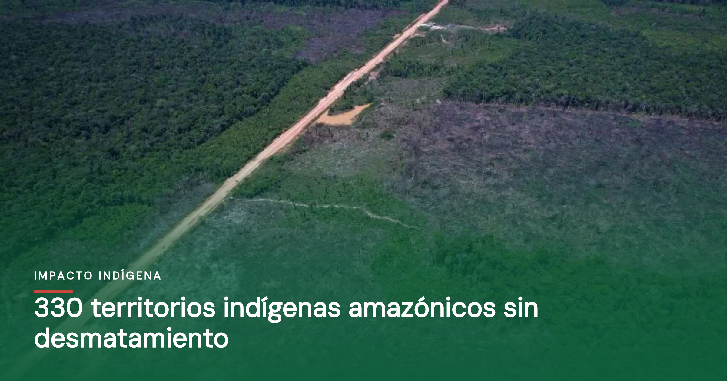 330 territorios indígenas amazónicos sin desmatamiento