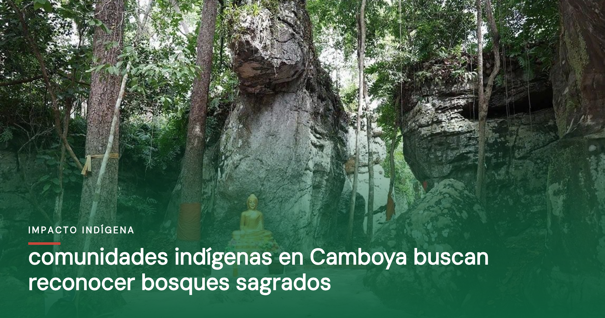 Comunidades indígenas en Camboya buscan reconocer bosques sagrados