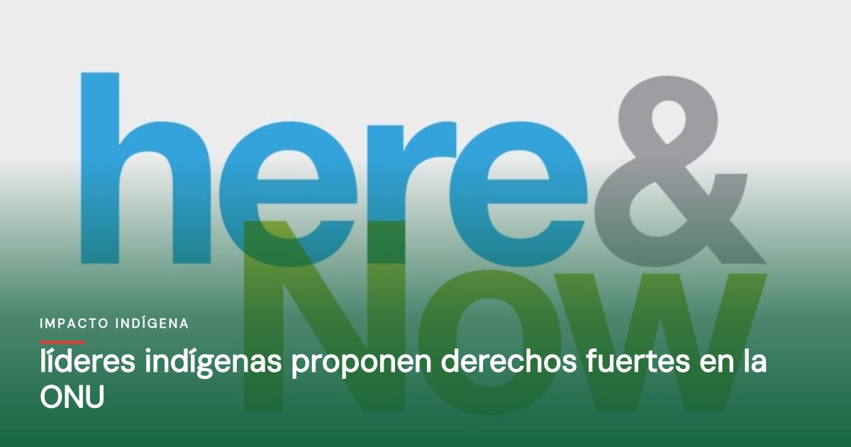 Líderes indígenas proponen derechos fuertes en la ONU