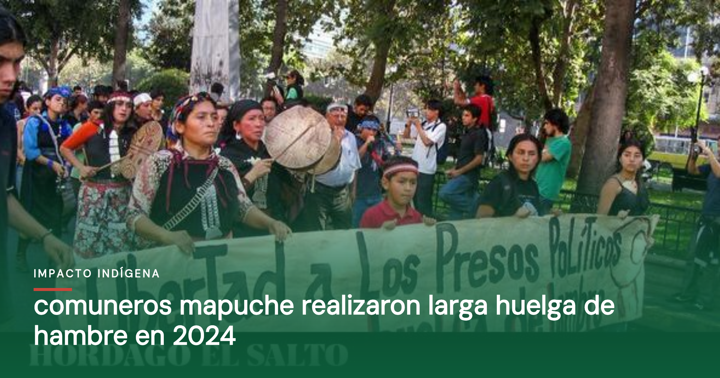 Comuneros Mapuche realizaron larga huelga de hambre en 2024