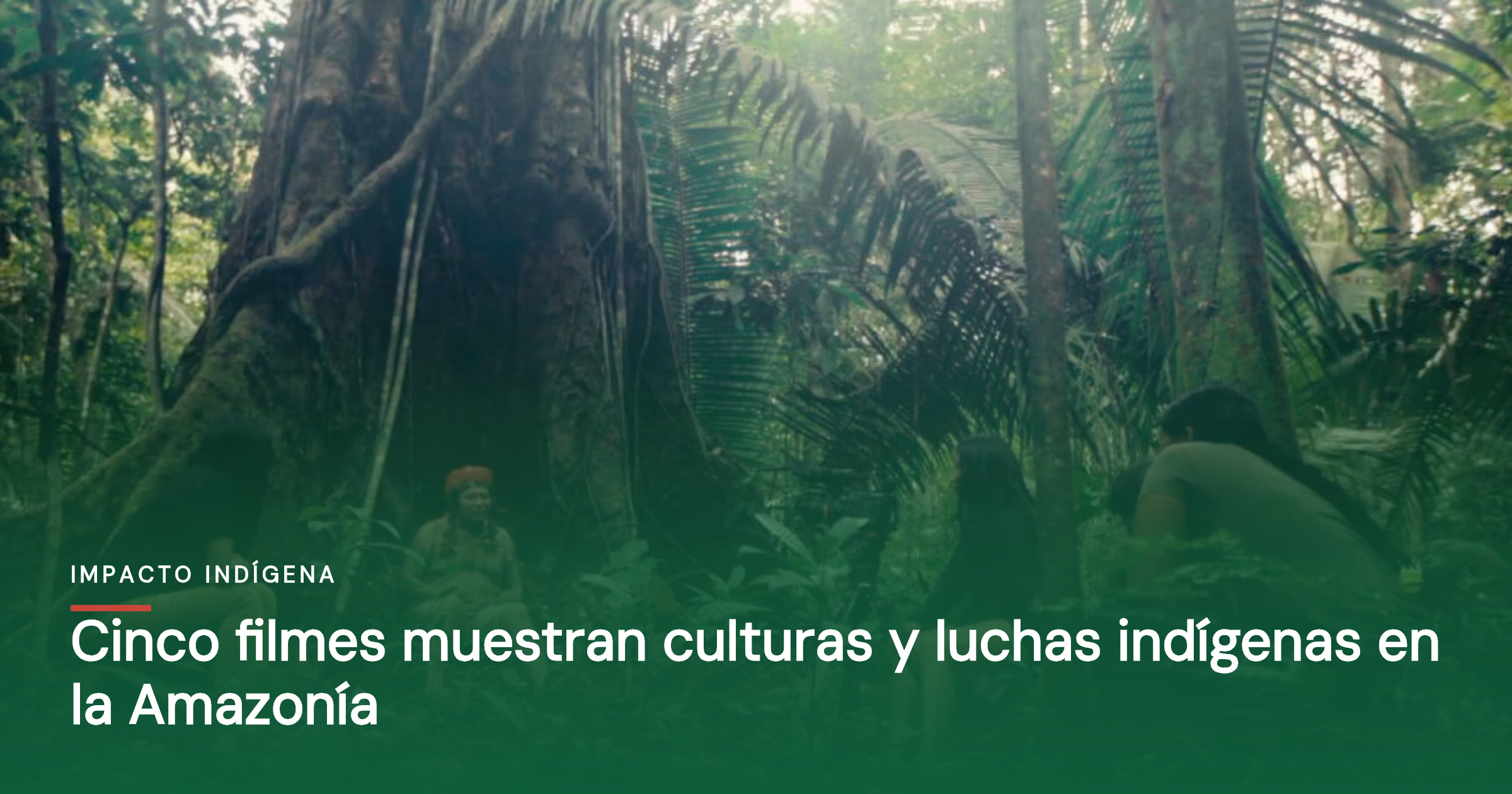Cinco filmes muestran culturas y luchas indígenas en la Amazonía