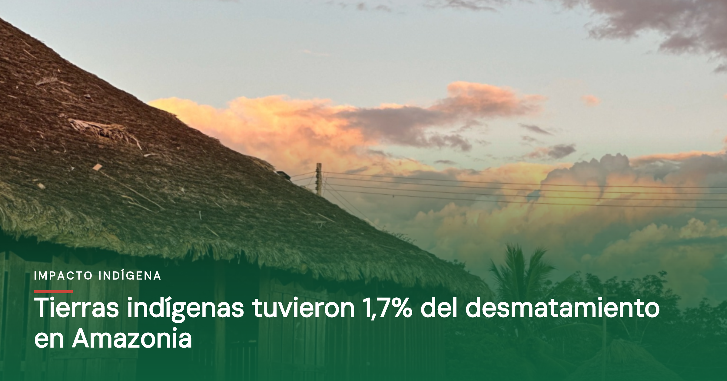 Tierras indígenas tuvieron 1,7% del desmatamiento en Amazonia