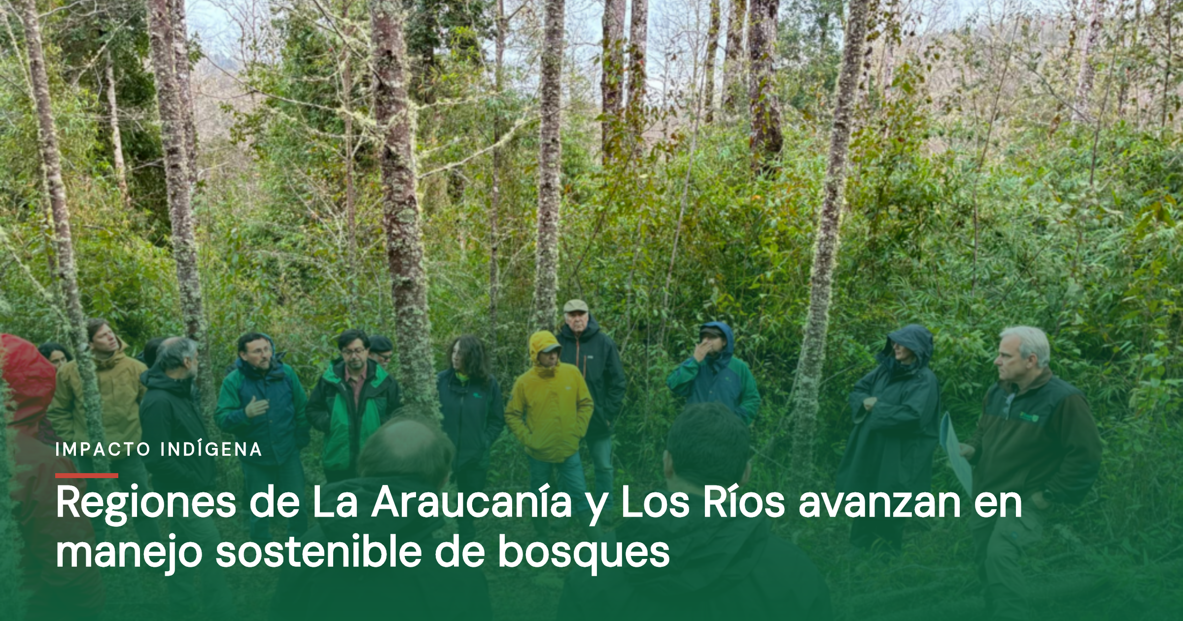 Regiones de La Araucanía y Los Ríos avanzan en manejo sostenible de bosques