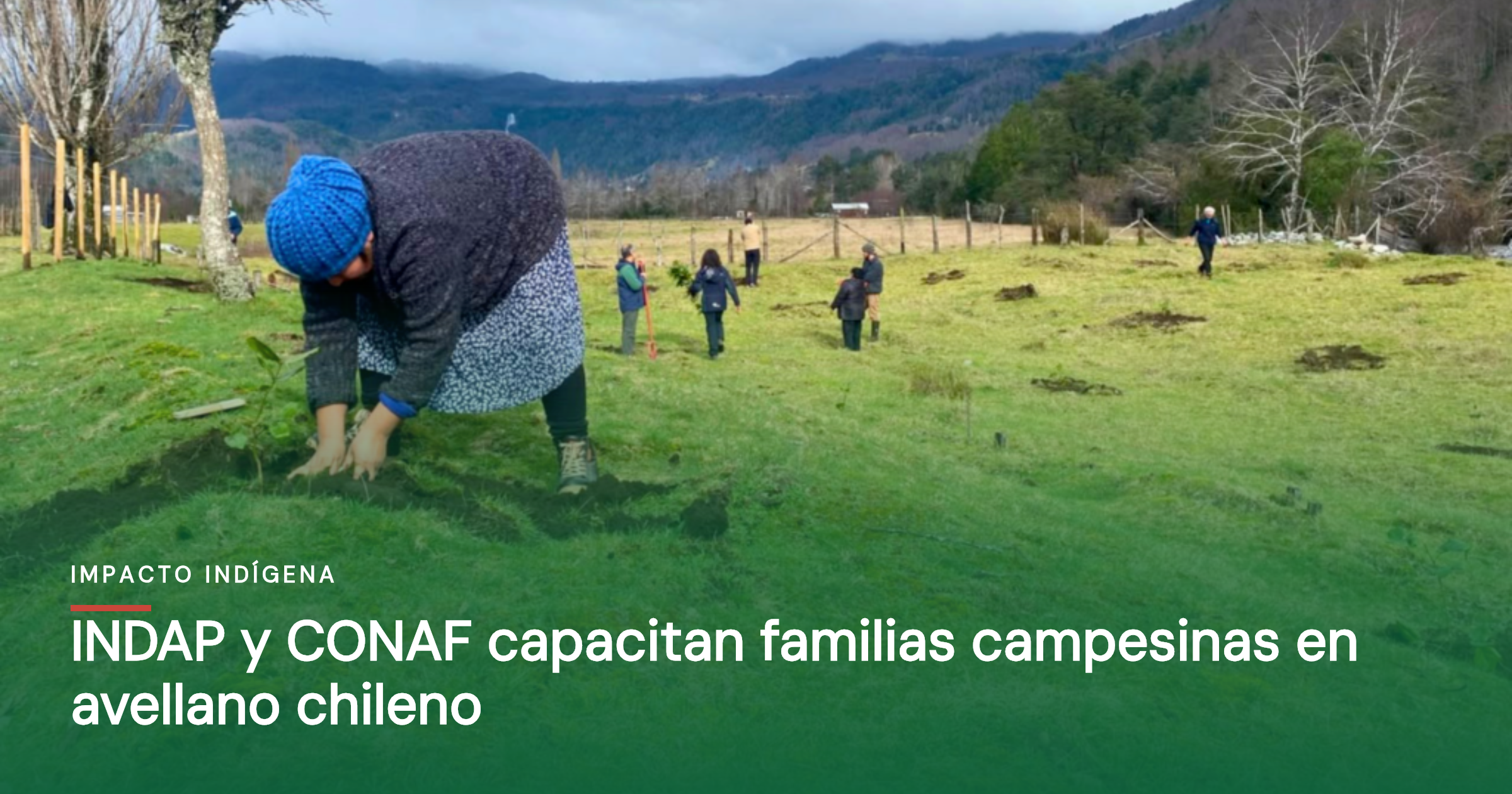 INDAP y CONAF capacitan familias campesinas en avellano chileno
